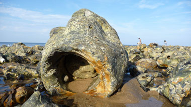 A rock